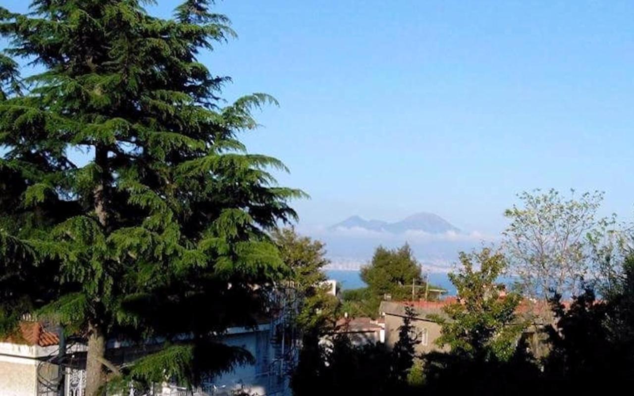 Le Rondini * Neapol